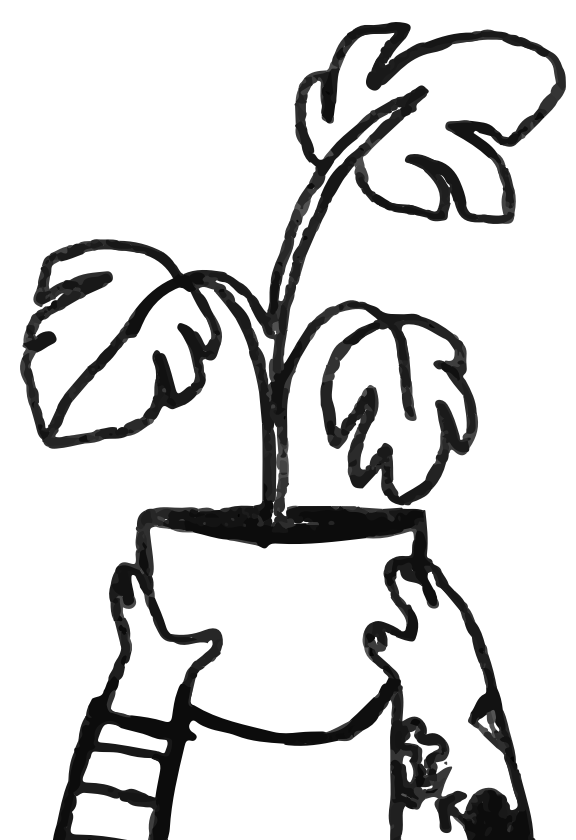 plant illustration